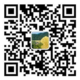 乐发app下载